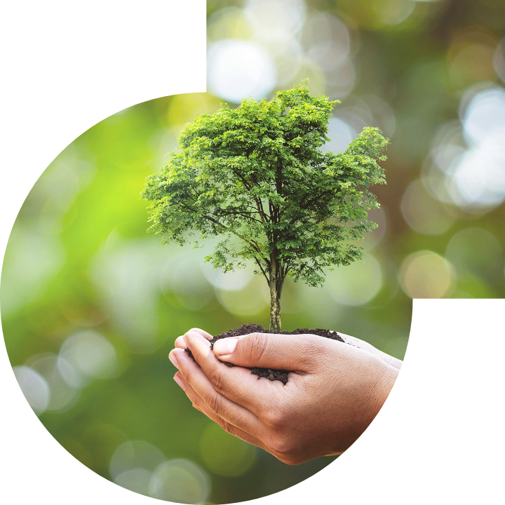 關懷人類、文化、環境與社會